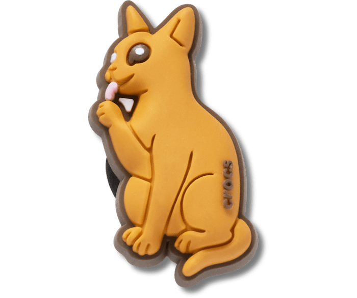 Abyssinian Cat