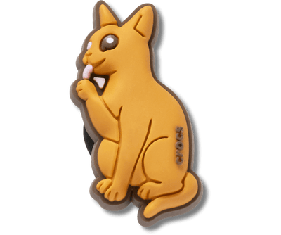 Abyssinian Cat