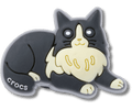 Black Cat With Boots