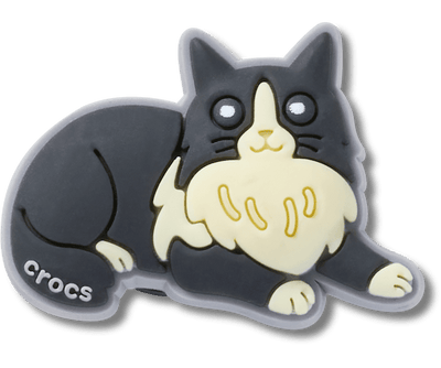Black Cat With Boots