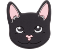 Black Cat