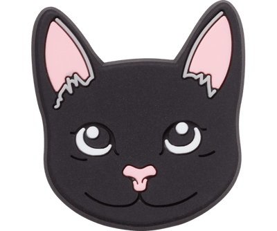 Black Cat