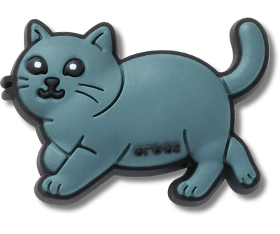 British Shorthair Cat