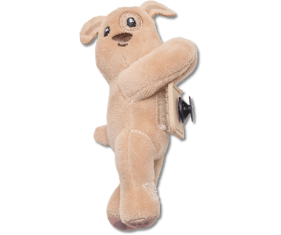 Chiot marron Huggitz