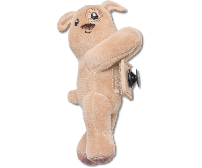 Chiot marron Huggitz