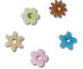 Enlighten Flower 5 Pack