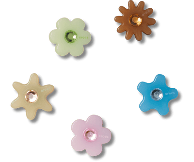 Enlighten Flower 5 Pack
