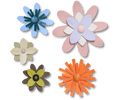 Faux Leathe r Floral 5 Pack