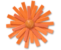 Faux Leathe r Orange Flower