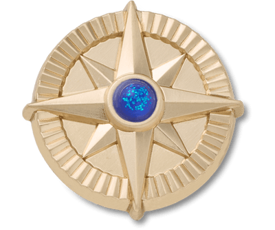 Gold Star Navy Gem