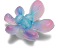 Ombre Funky Flower