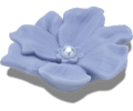 Periwinkle Flower with Pearl