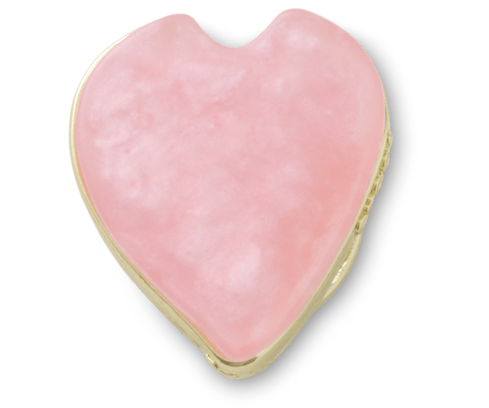 Pink Flower Petal