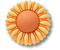 Puffy Orange Flower