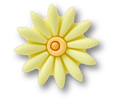 Puffy Yellow Daisy
