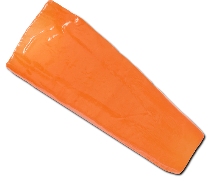 Realistic Carrot Slice