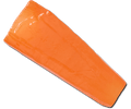 Realistic Carrot Slice