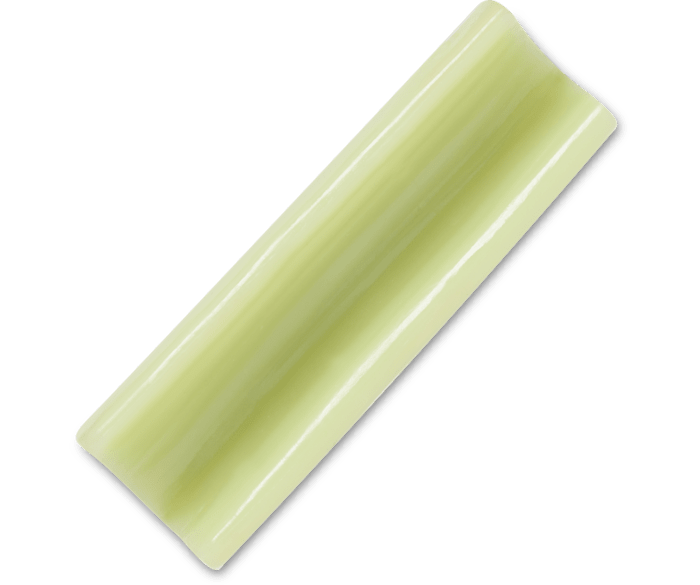 Realistic Celery Slice