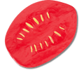 Realistic Plum Tomato Slice