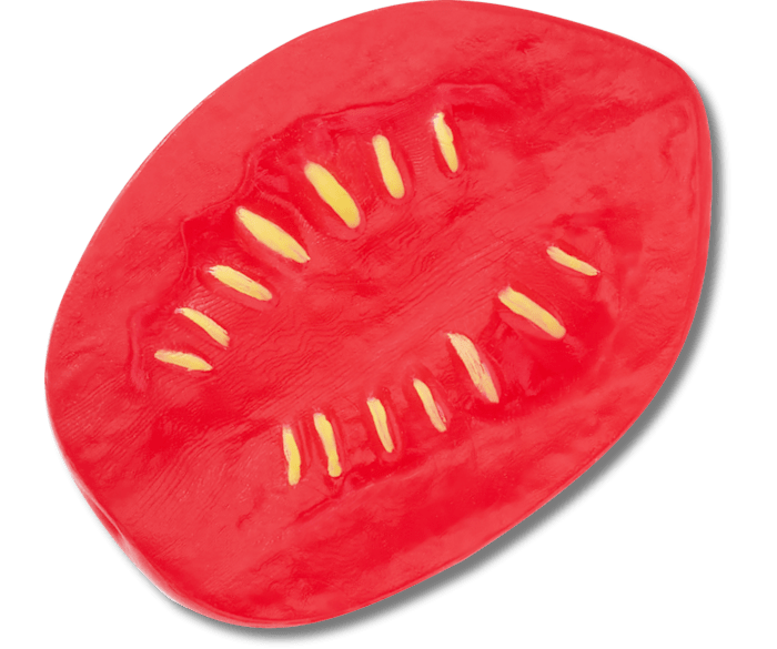 Realistic Plum Tomato Slice