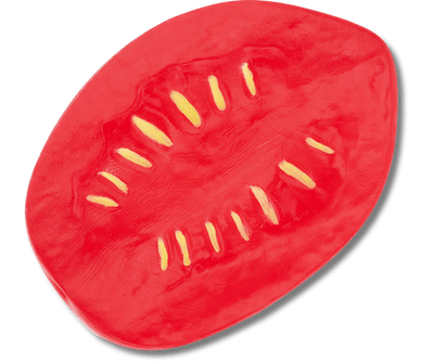 Realistic Plum Tomato Slice