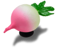 Realistic Radish