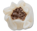 Realistic Shumai