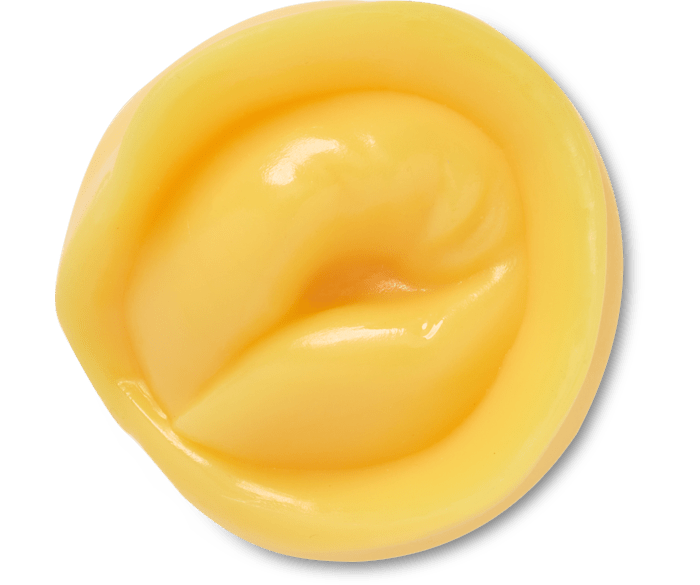 Realistic Tortellini Pasta