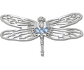 Silver Dragonfly