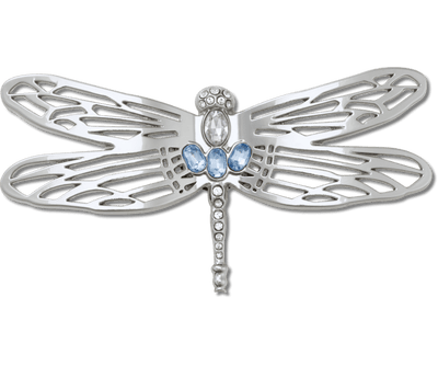 Silver Dragonfly