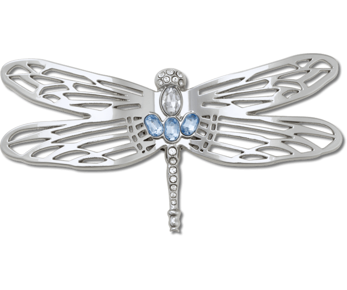 Silver Dragonfly