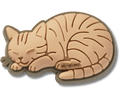 Tabby Cat