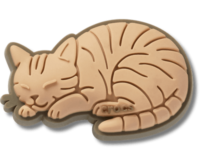 Tabby Cat
