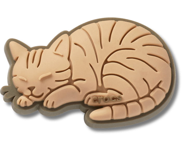Tabby Cat