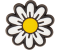 Tiny Daisy