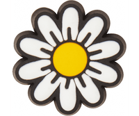 Tiny Daisy