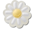 Tiny Darling Daisy