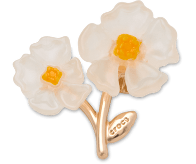 White Floral Blossom