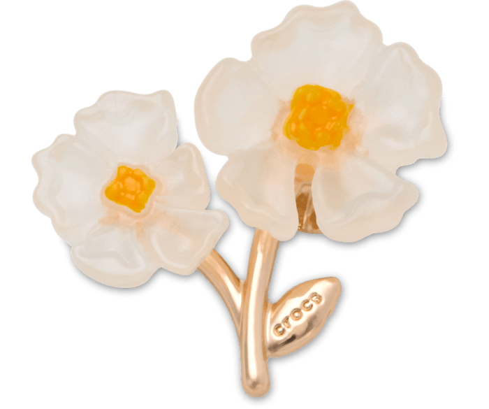 White Floral Blossom