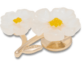 White Floral Blossom