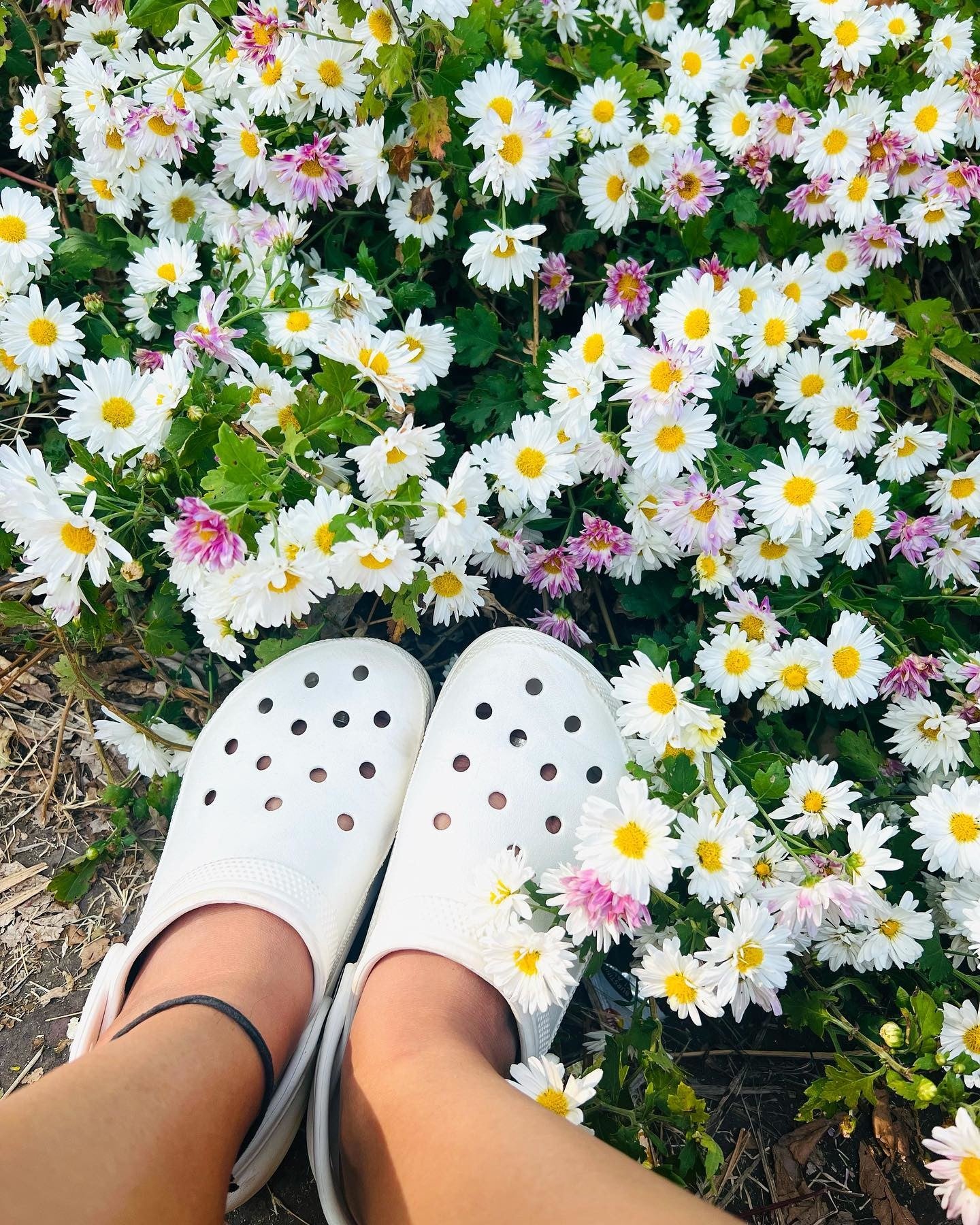 Crocs lifestyle 2